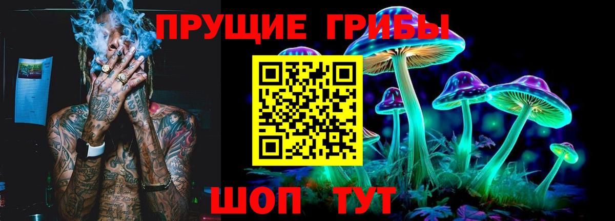 Владикавказ  Псилоцибиновые грибы GOLDEN TEACHER  Вход с VPN 
